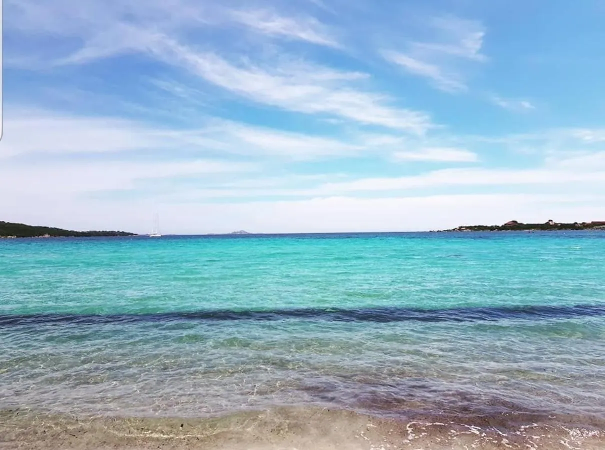 Splendida porzione di villa Olbia 0*,  Italia